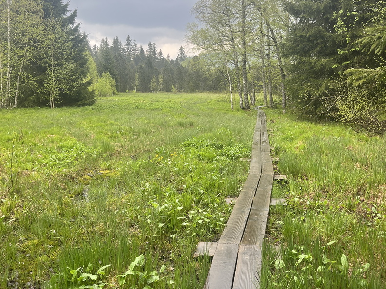 23-05-23 13-08-05 5596